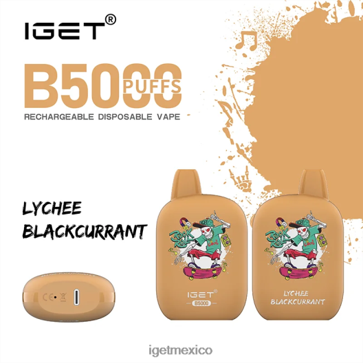 IGET Online - obtener b5000 N4LF8X309 lichi grosella negra